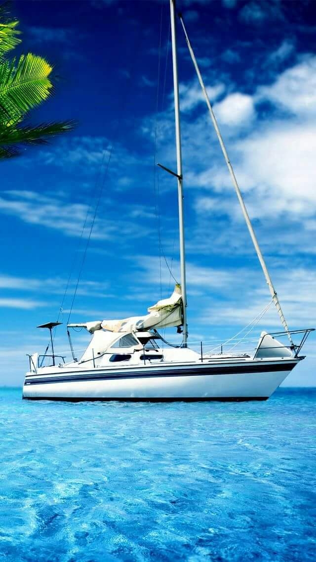 paradis