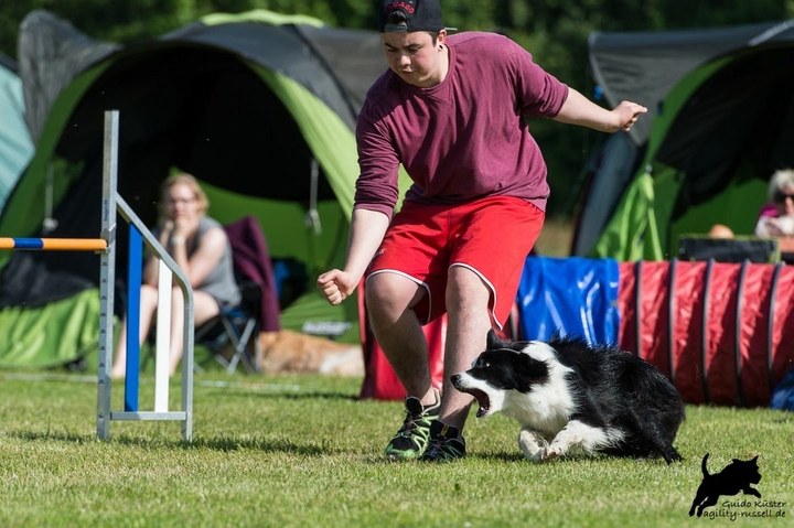 The Border Collie Because There Is No Better Dog