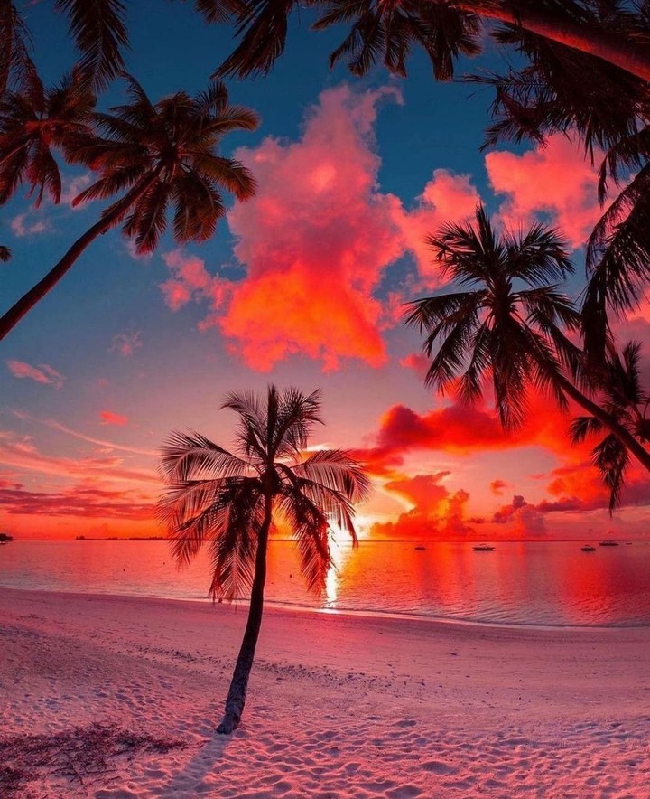 #sunset