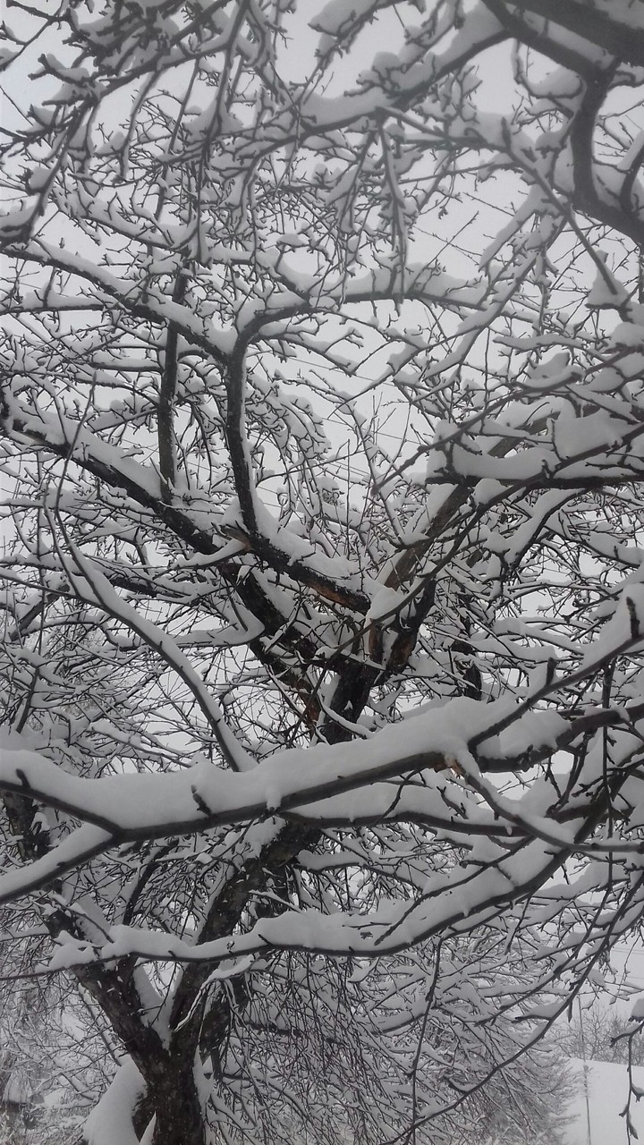 winter