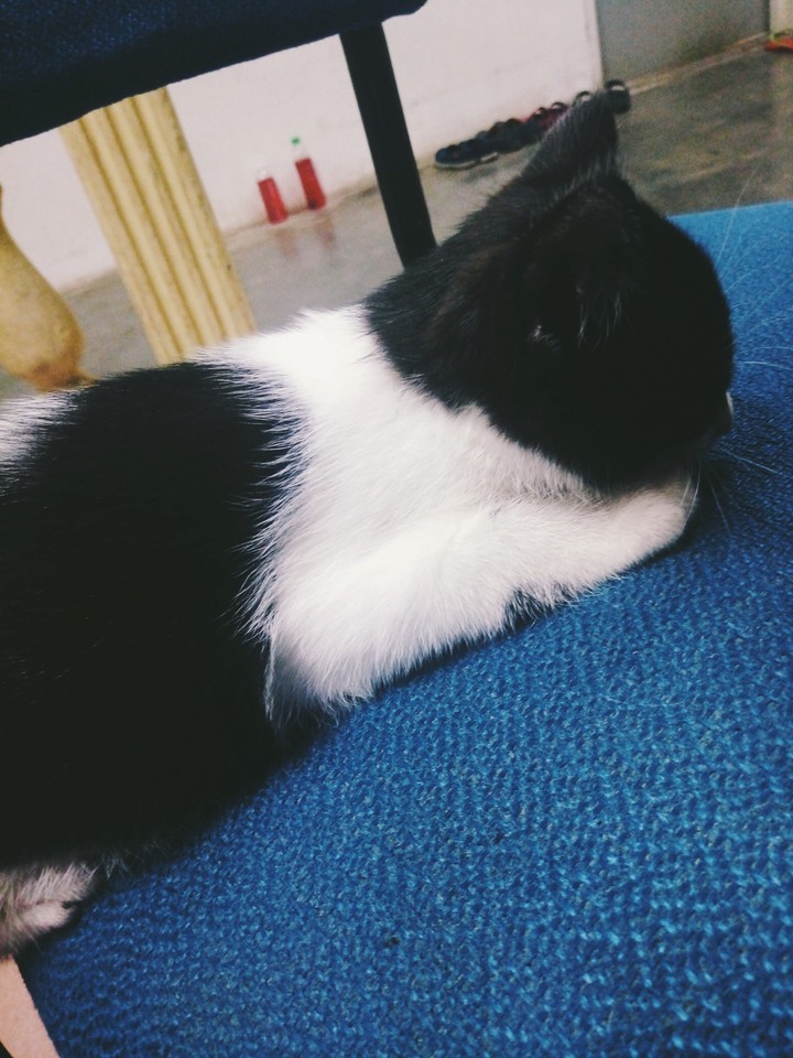 baby