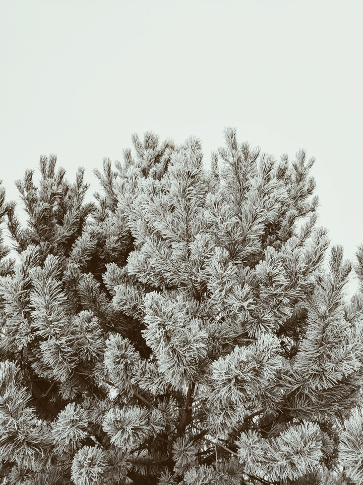 wintry