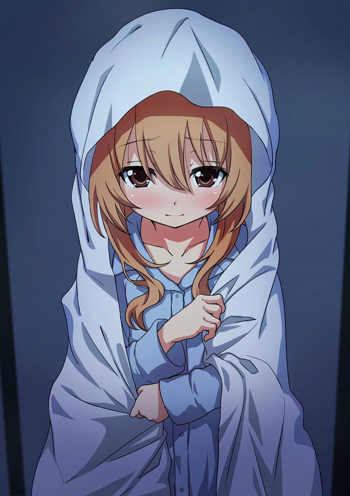Anime: Toradora "Taiga Aisaka"