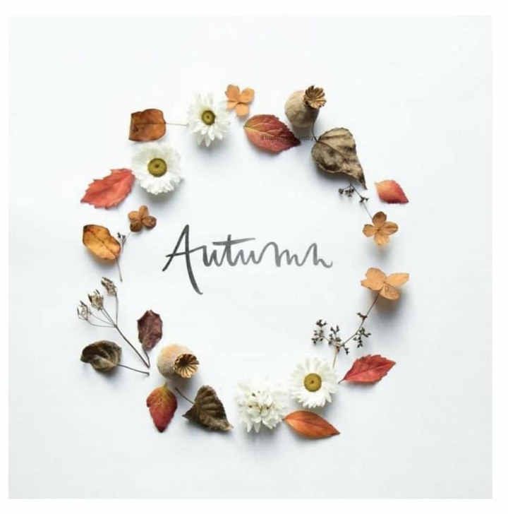 My favourite season