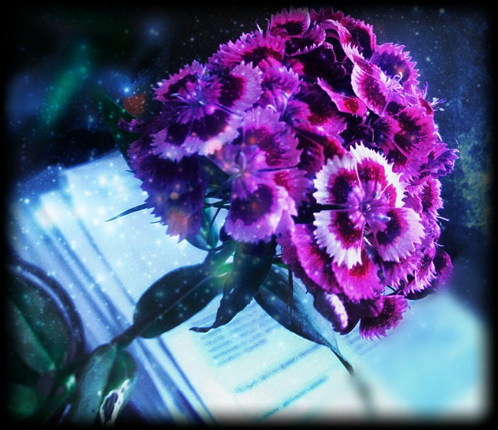my magic flower