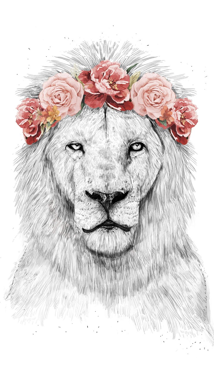 Lion by Walli HD Wallpapers