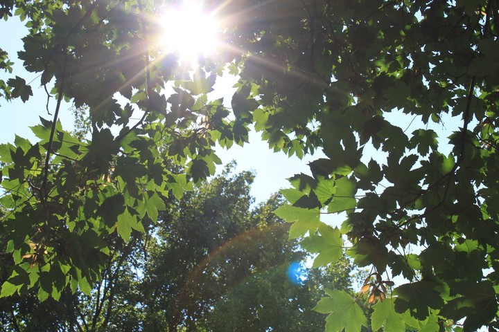 Nature