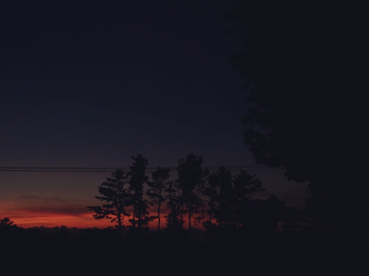 Night of Jeju