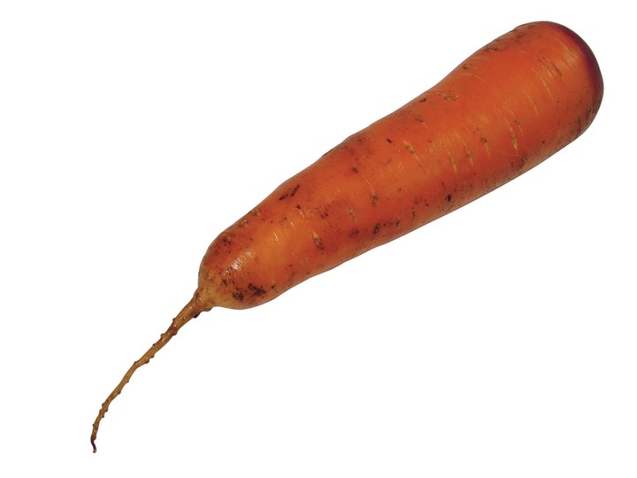 음식이미지