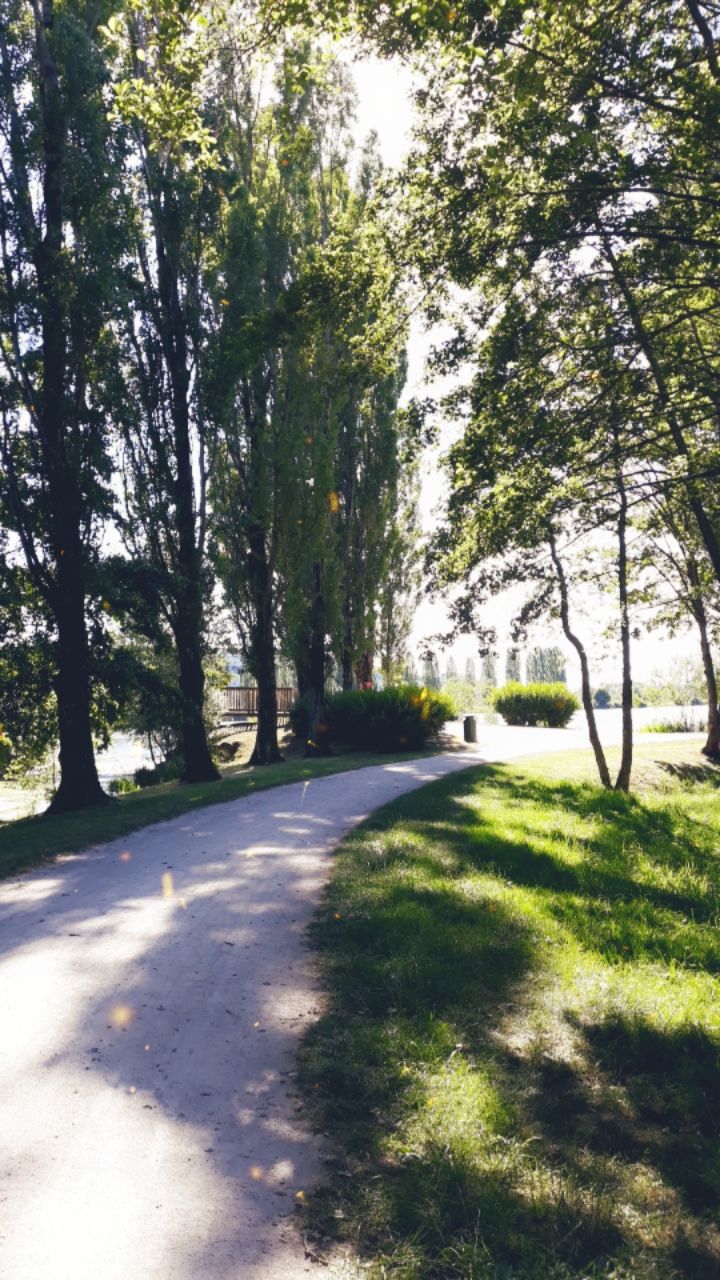 lac de Vaivre en Franche Comté