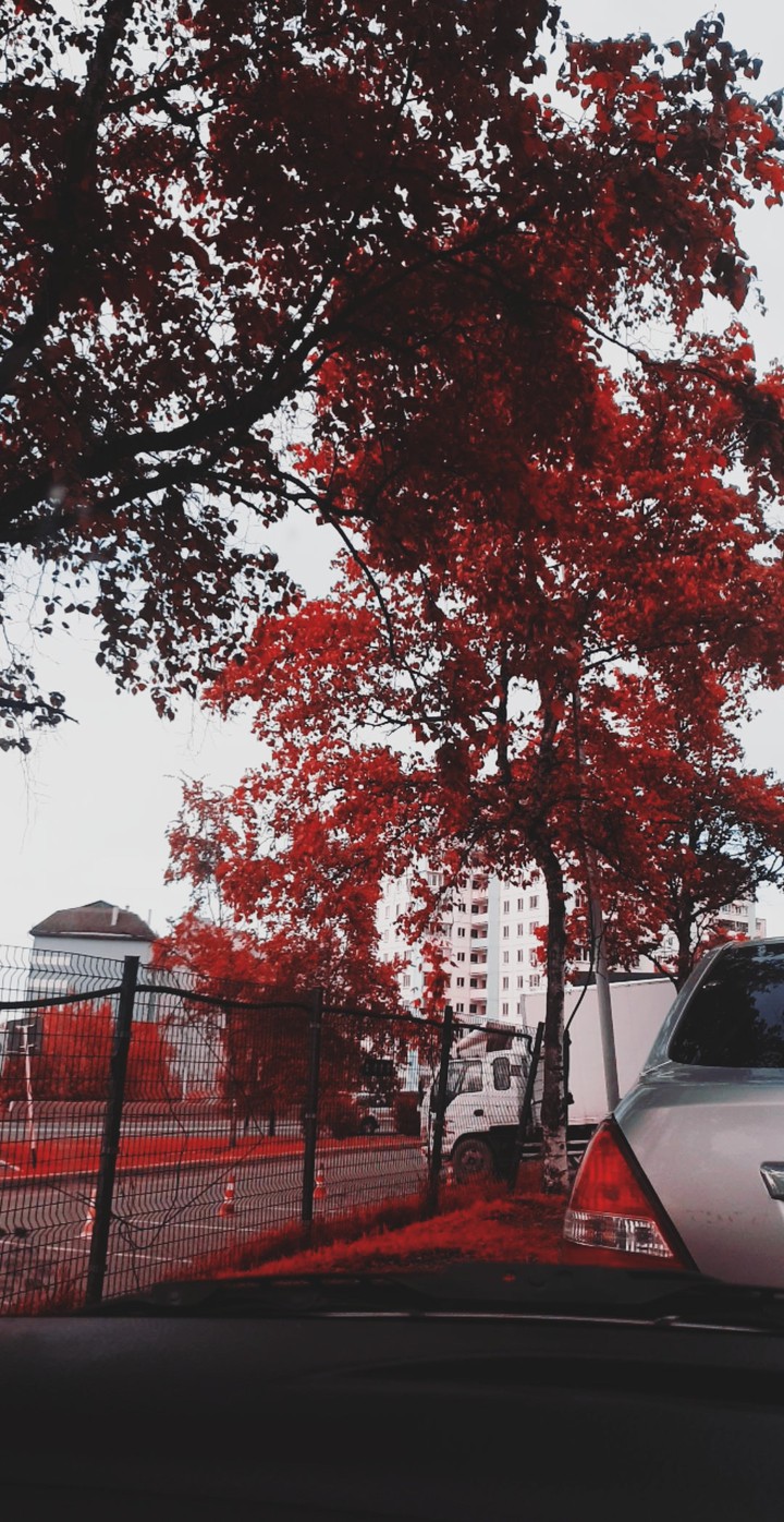 city