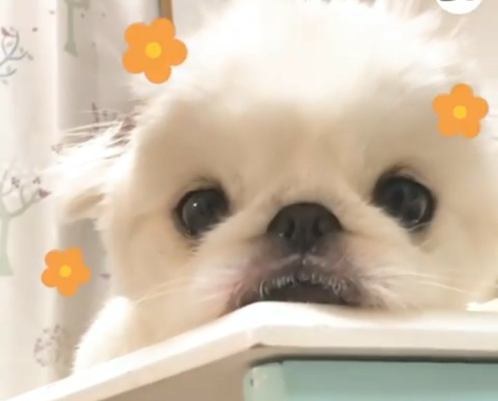 cheer up