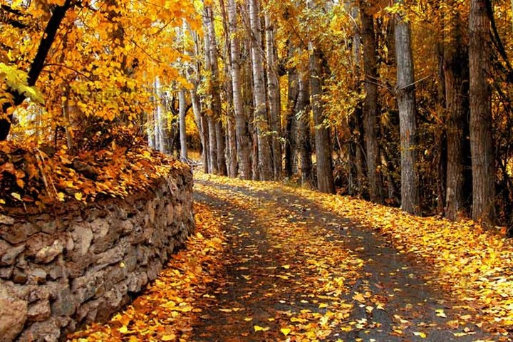 Fall