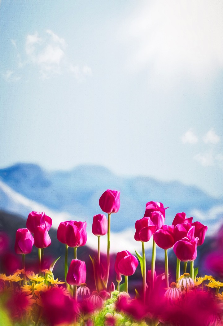 Flowers