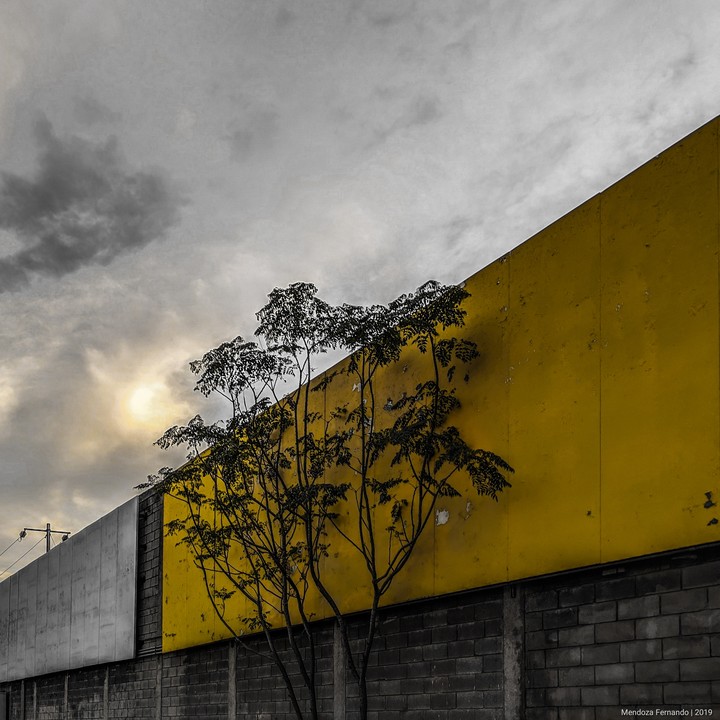Yellow