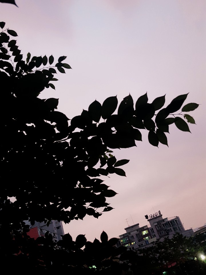 집앞 풍경