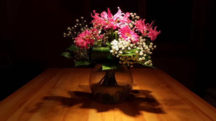 Flowerwonder