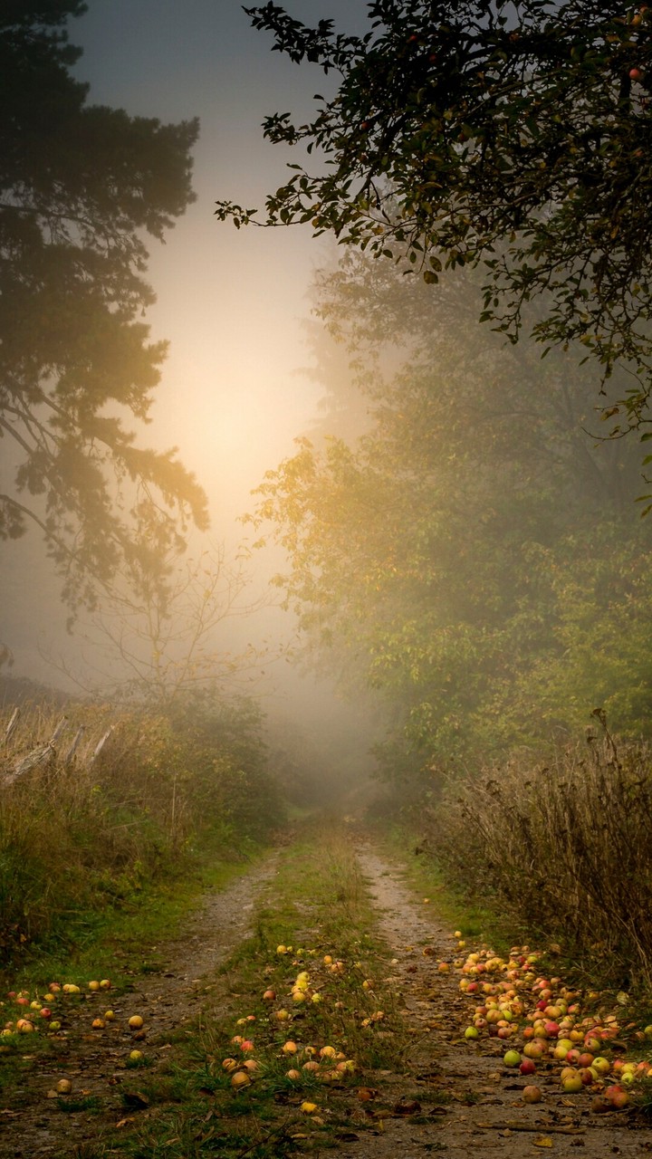 beautiful morning...