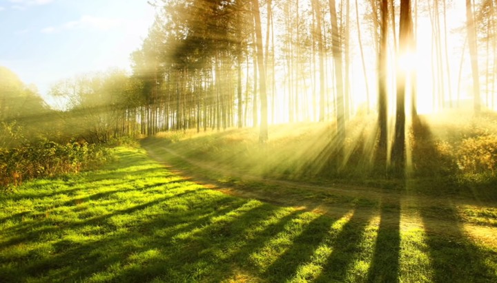 sun light