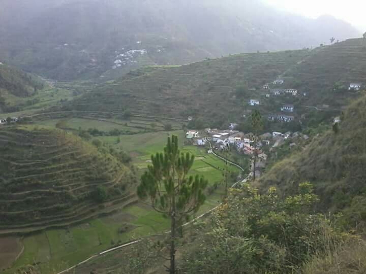 Hills Valley all around.