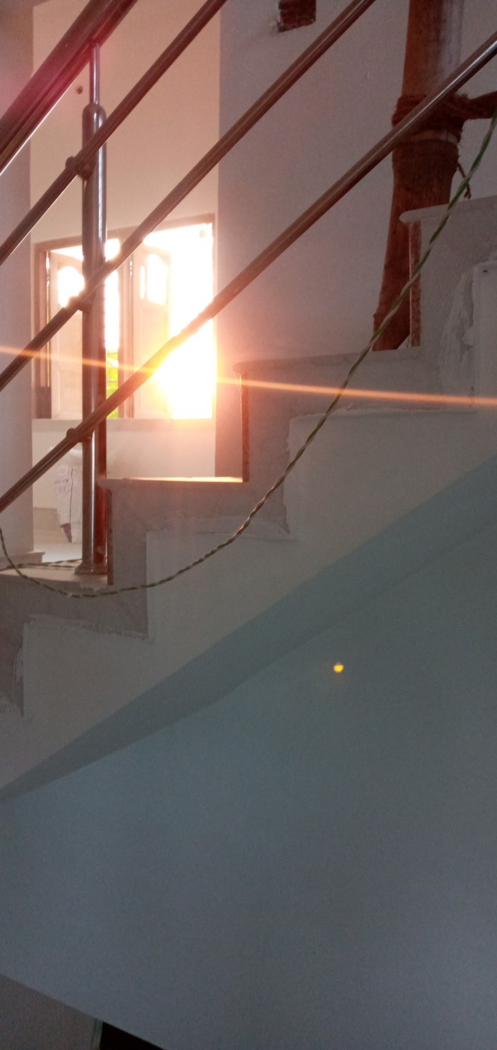 Sunlight