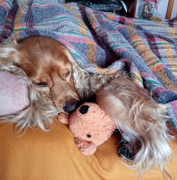 Leo durmiendo con su peluche