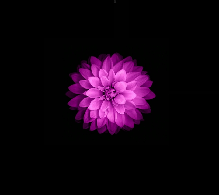 Apple iPhone wallpapers