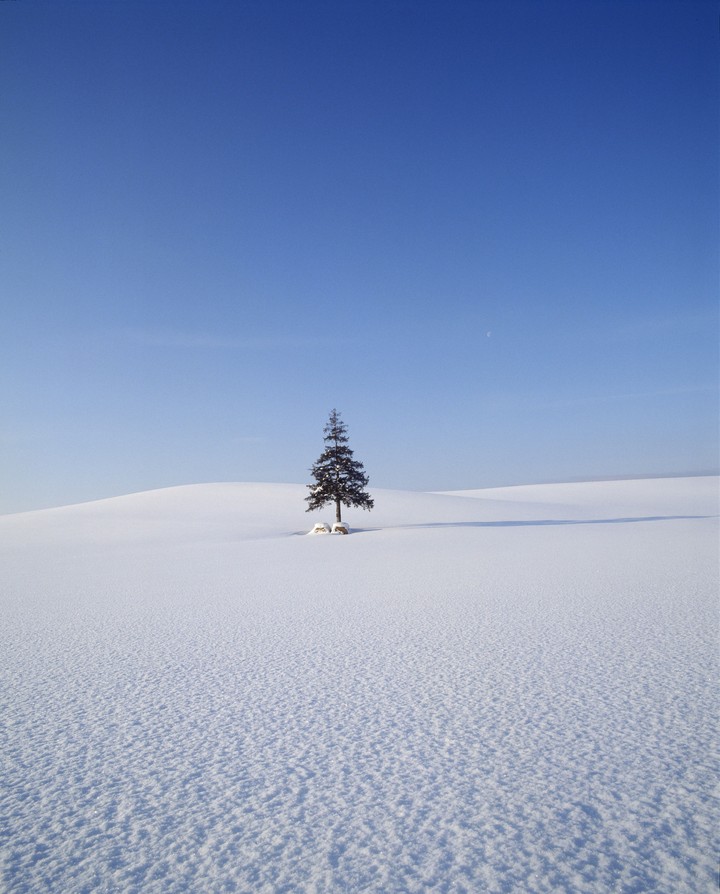 Seasonal Landscape
