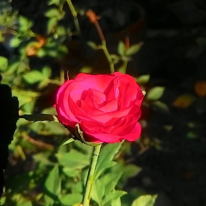 for you