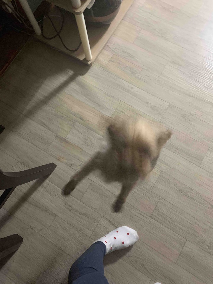 jump