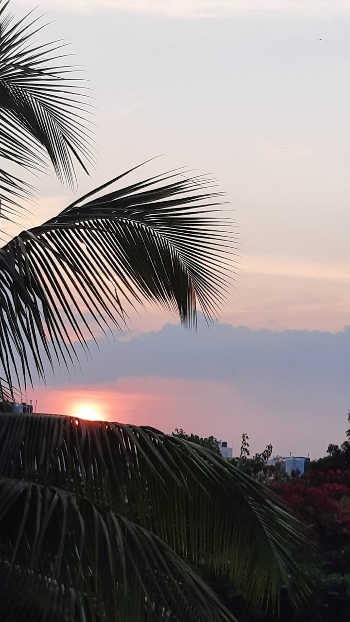 sunset