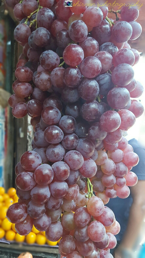 Fruits