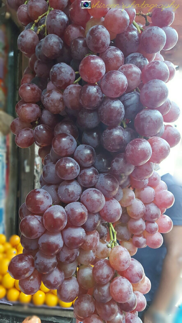Fruits