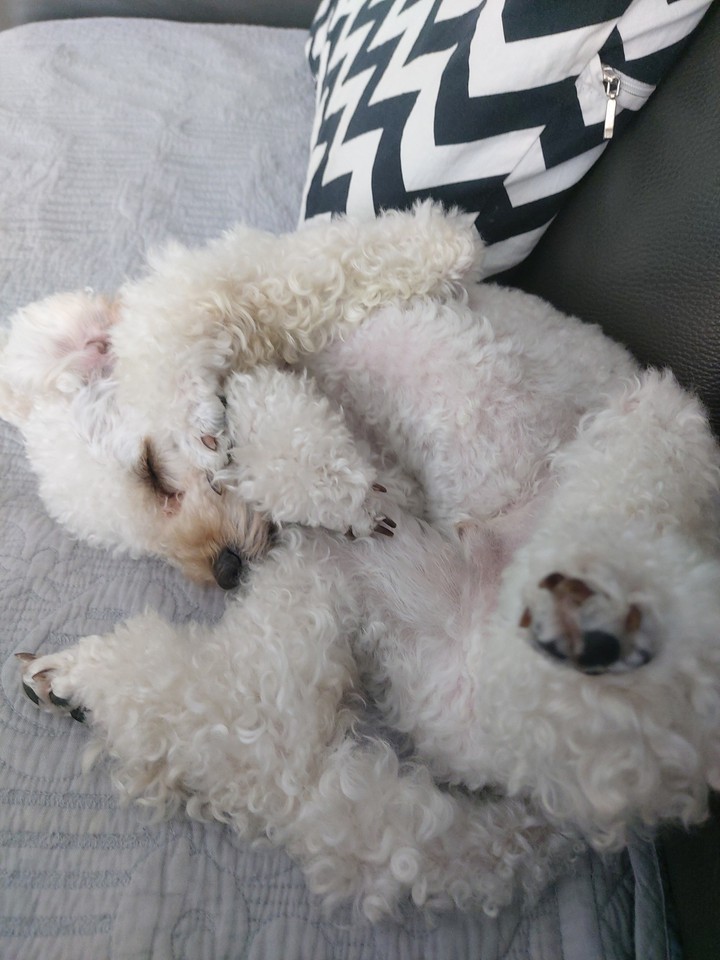 날 이뻐해라