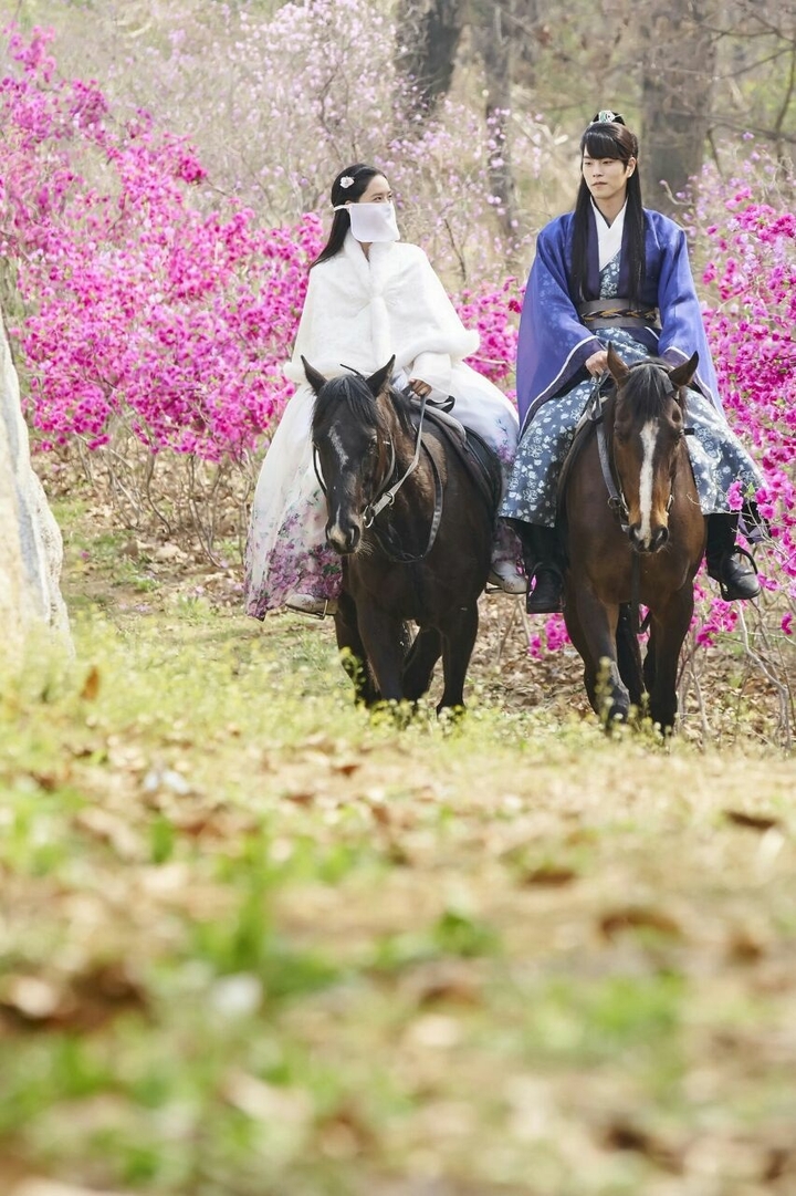 the king lover's