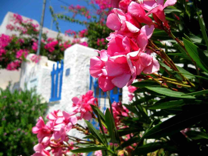 Greece