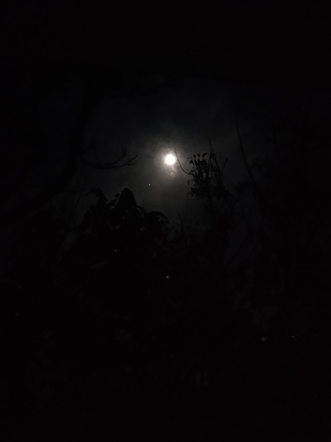 Full moon