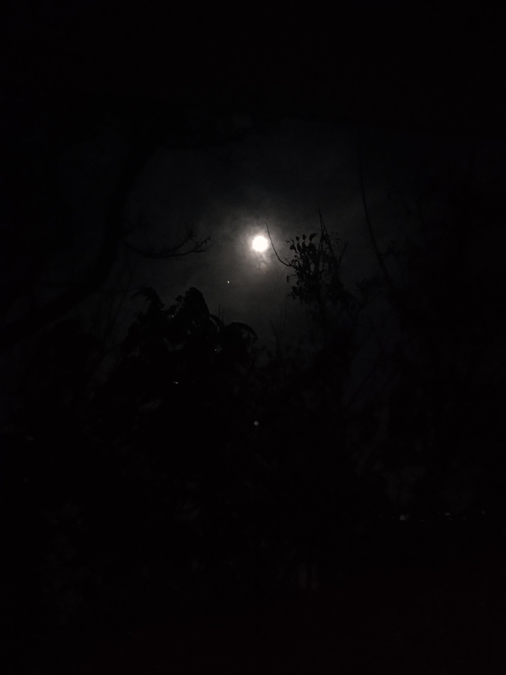 Full moon