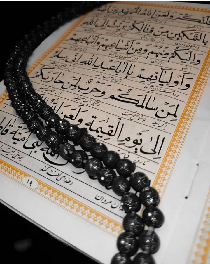 زیارت عاشورا به یاد اباعبدالله می خونیم
