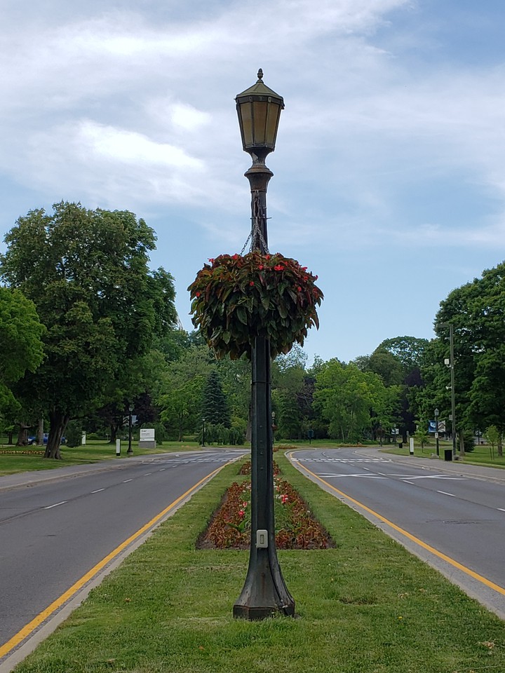 Middle of the Road