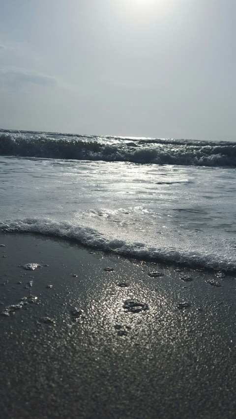 Sea