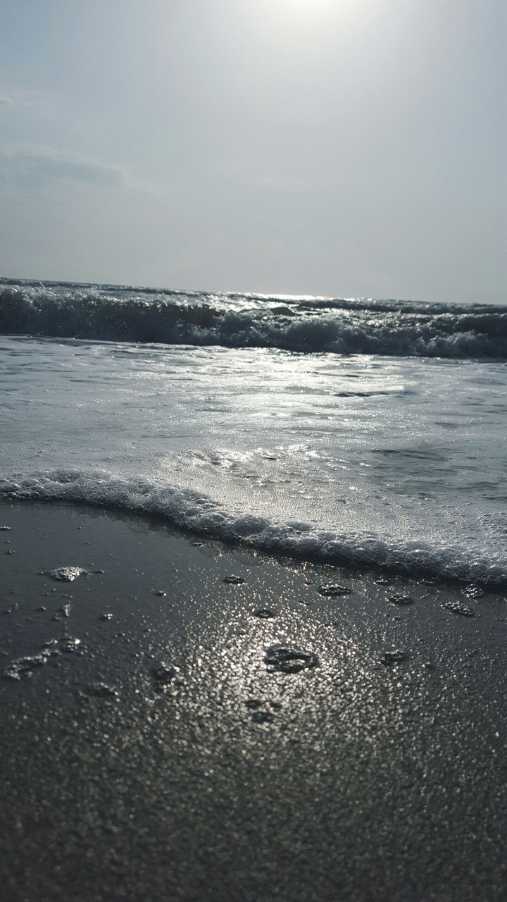 Sea