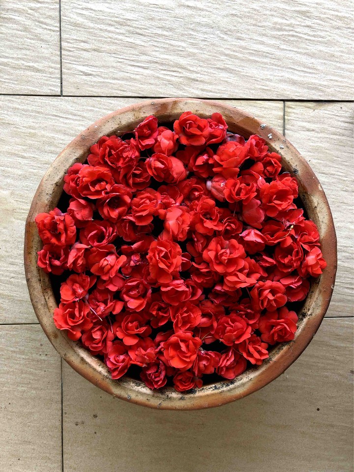 flowers