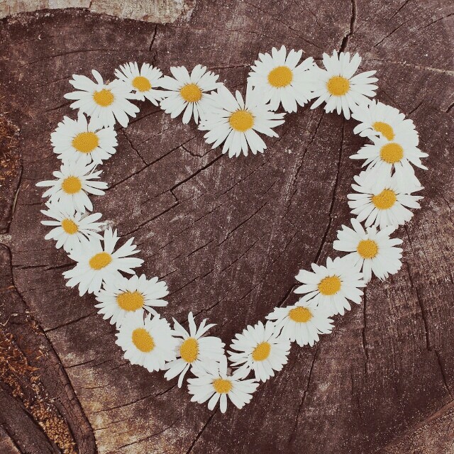 love ,heart,flowers