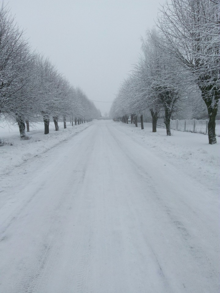 snow