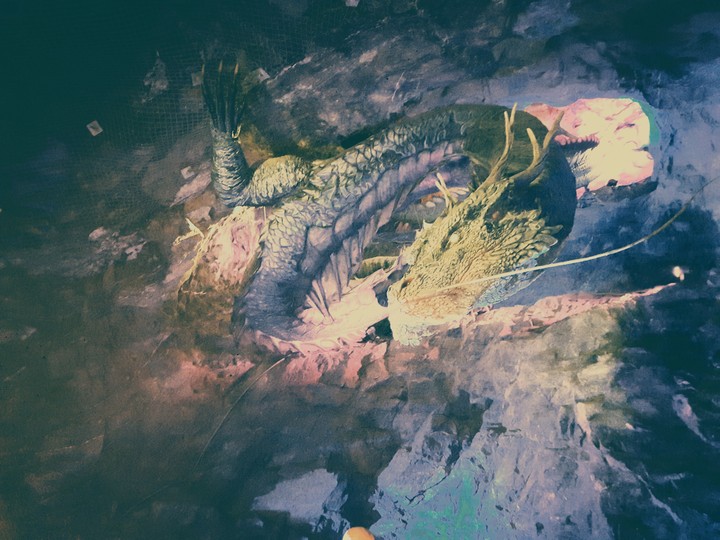The East Dragon