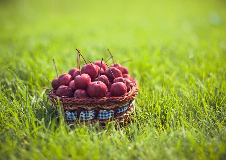 Fruit...