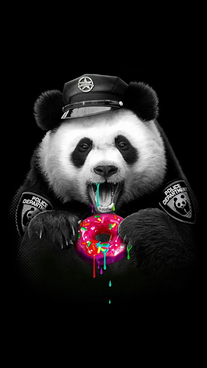 teddybear