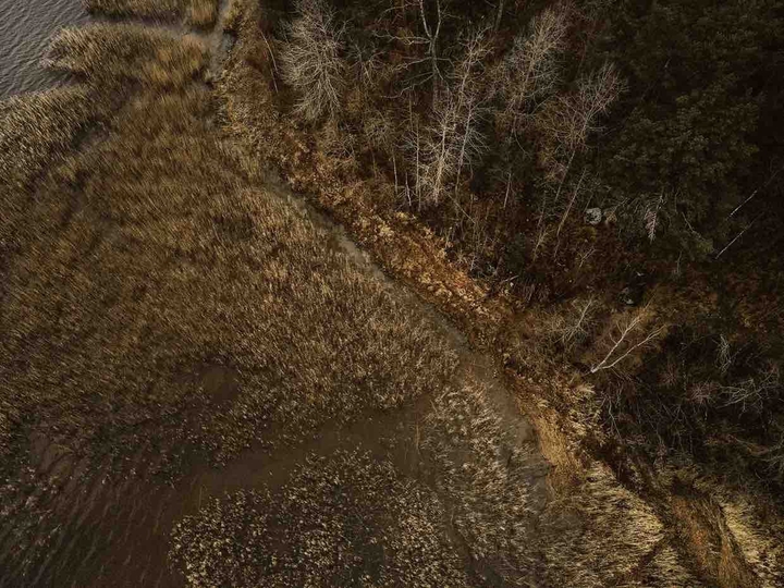 fall