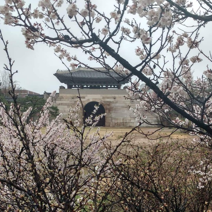 Gyeongbukgong Palace, Seoul